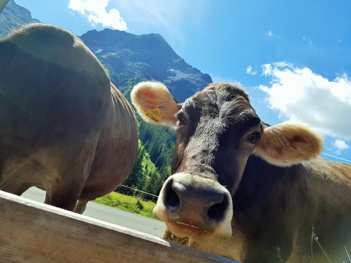 Gasthof Auerhahn Lech am Arlberg Ngoại thất bức ảnh
